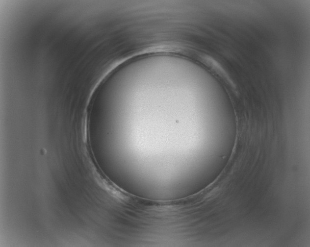 X0000062891276200601131007