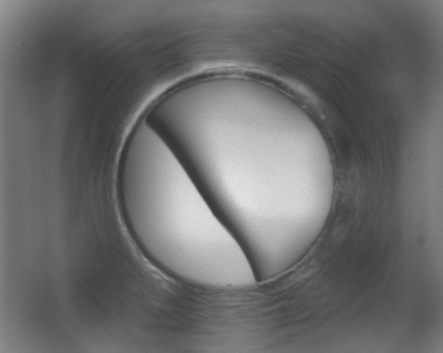 X0000062891279200601131007