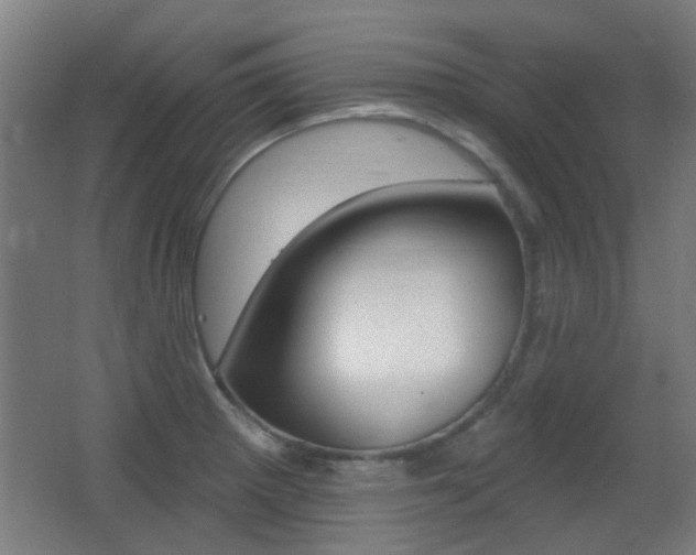 X0000062891281200601131007