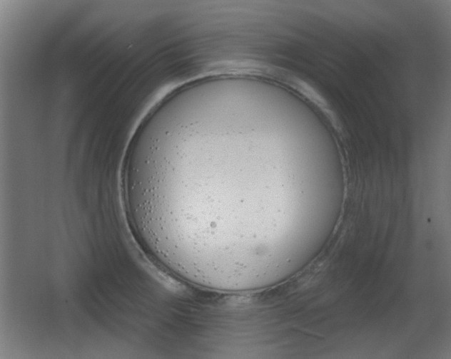 X0000062891283200601131007