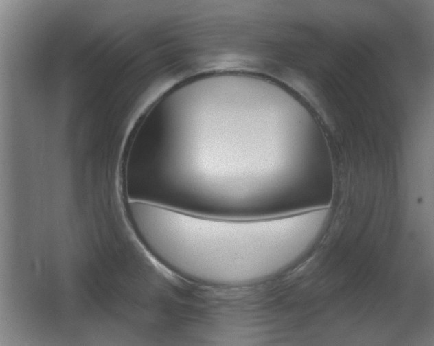 X0000062891285200601131007