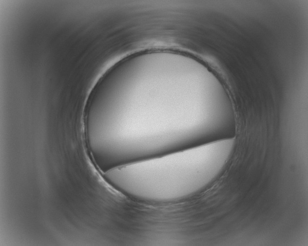 X0000062891287200601131007