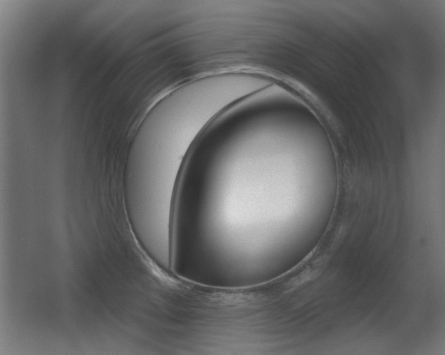 X0000062891289200601131007