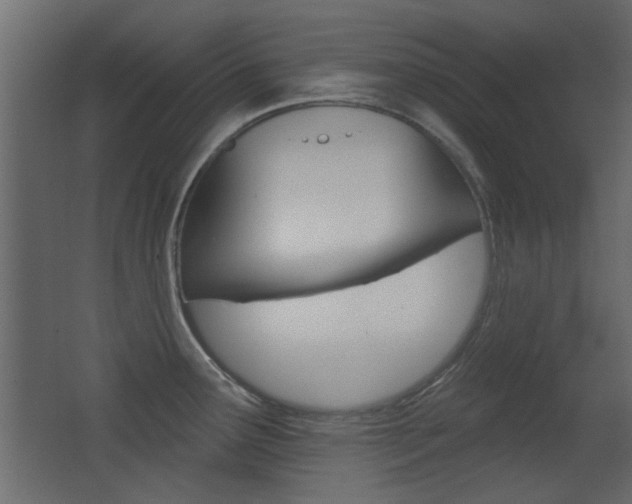 X0000062891291200601131007