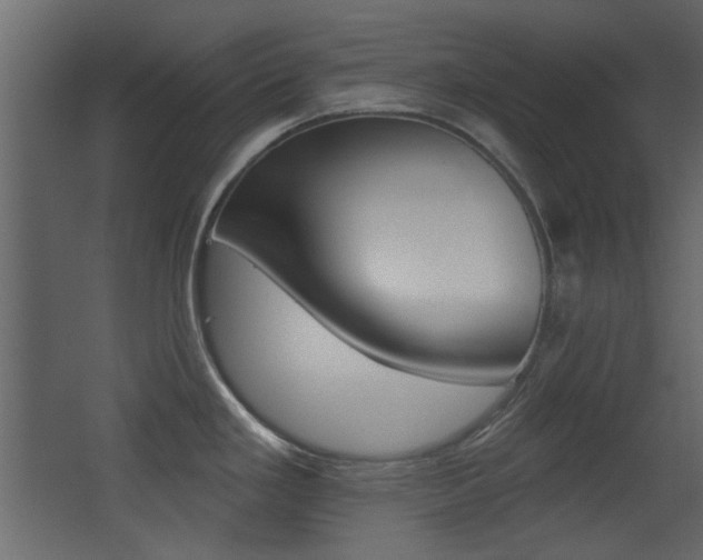 X0000062891293200601131007