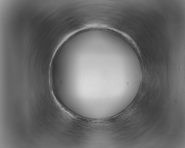 X0000062891295200601131007