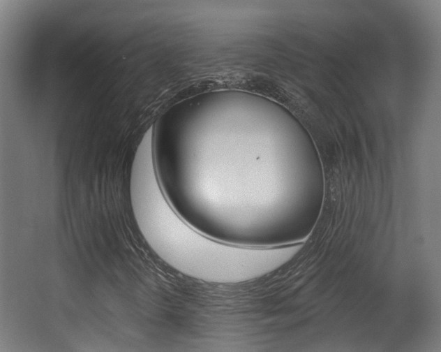 X0000062891298200601131006