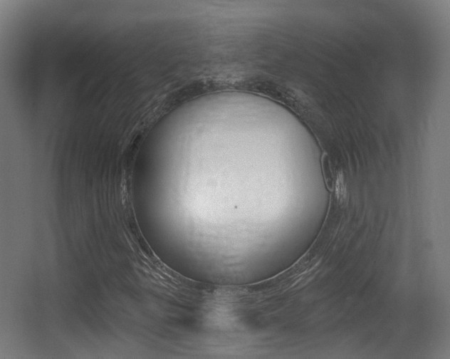 X0000062891299200601131006