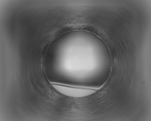 X0000062891300200601131006