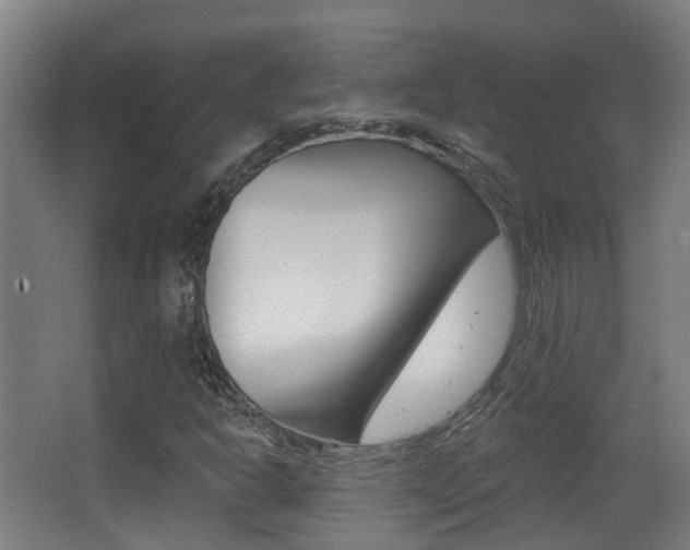 X0000062891302200601131006