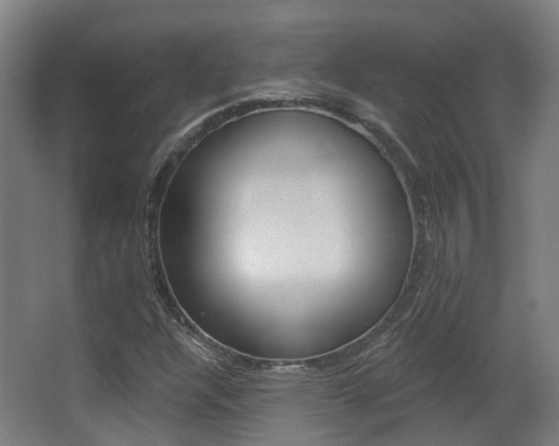 X0000062891304200601131006