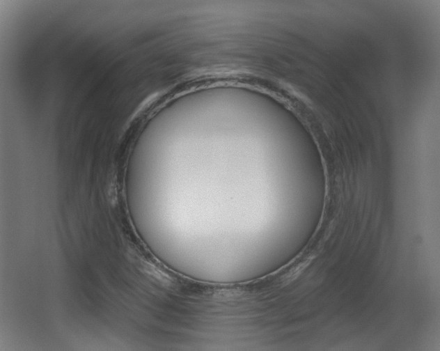 X0000062891306200601131006