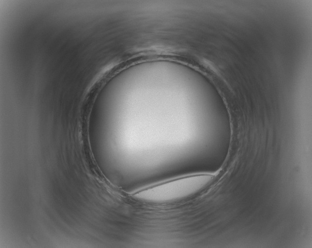 X0000062891307200601131006