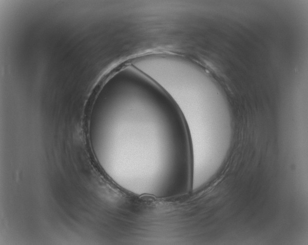 X0000062891308200601131006