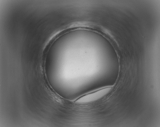 X0000062891312200601131006