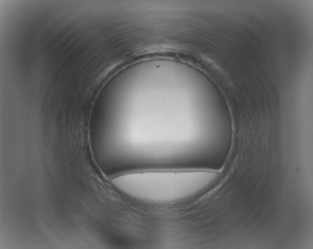 X0000062891313200601131006