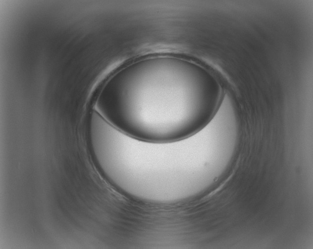 X0000062891317200601131006