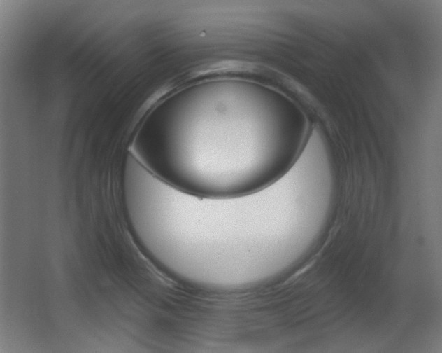 X0000062891321200601131006