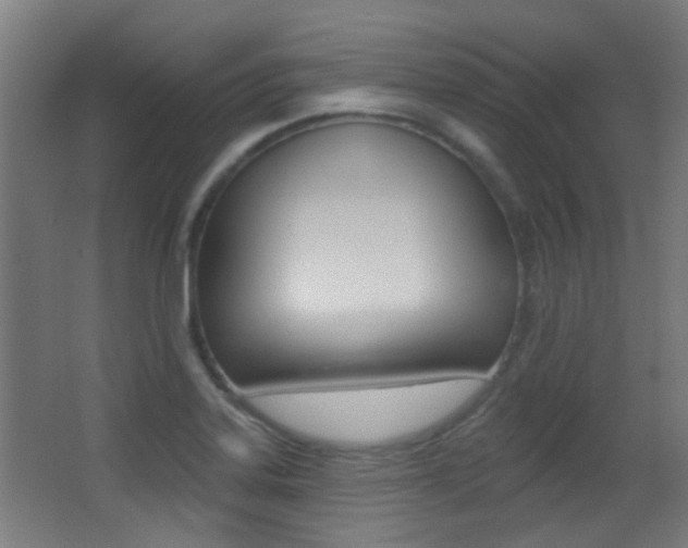 X0000062891323200601131006