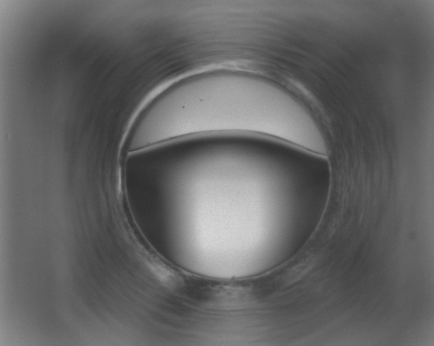 X0000062891324200601131006