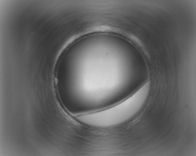 X0000062891326200601131006