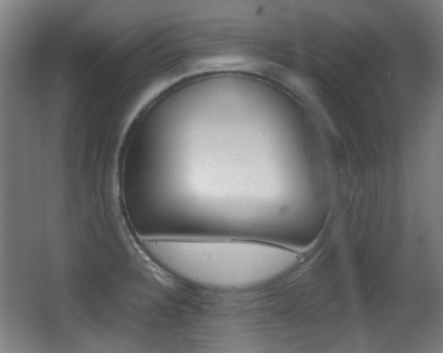 X0000062891328200601131006