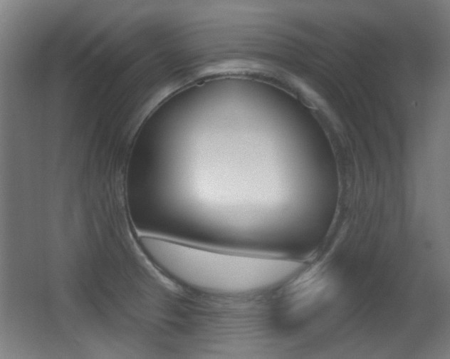 X0000062891329200601131006