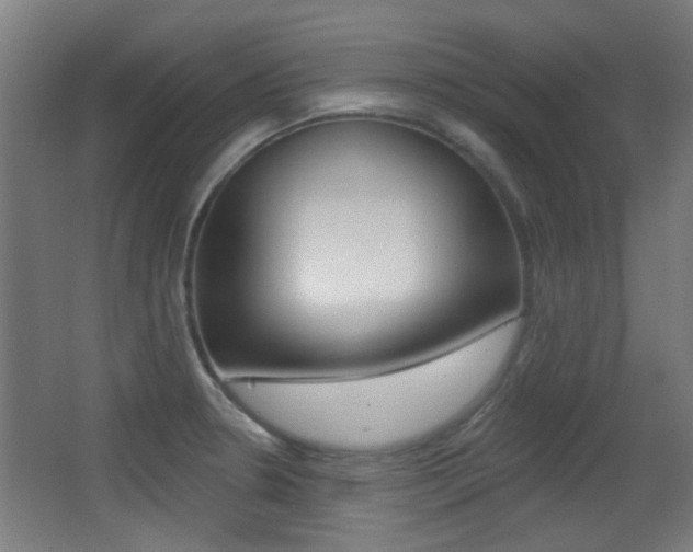 X0000062891330200601131006