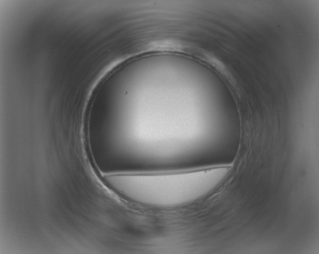 X0000062891331200601131006