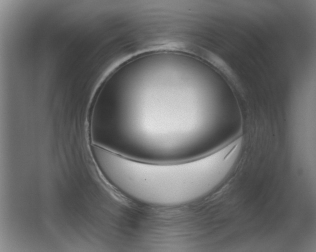 X0000062891332200601131006
