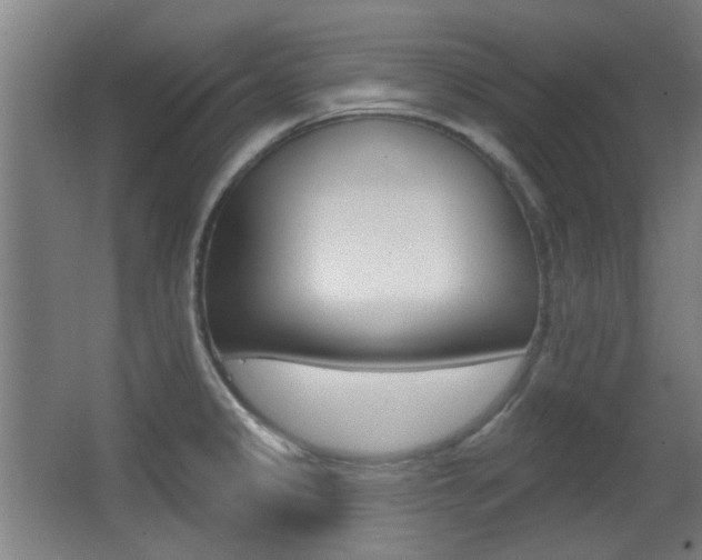 X0000062891333200601131006