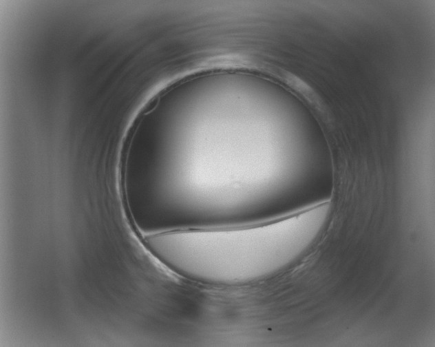 X0000062891334200601131006