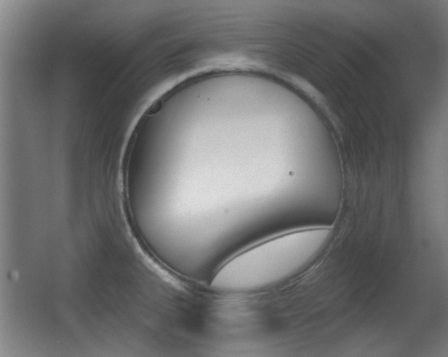 X0000062891335200601131006