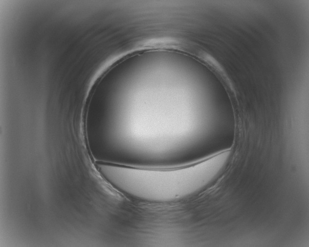 X0000062891336200601131006