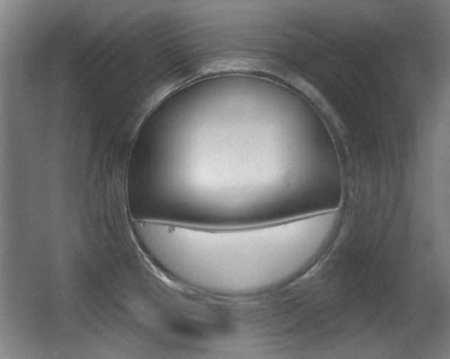 X0000062891337200601131006