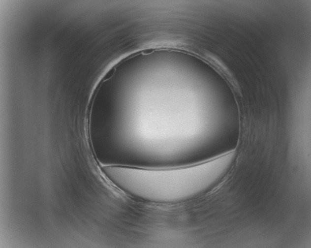 X0000062891340200601131007