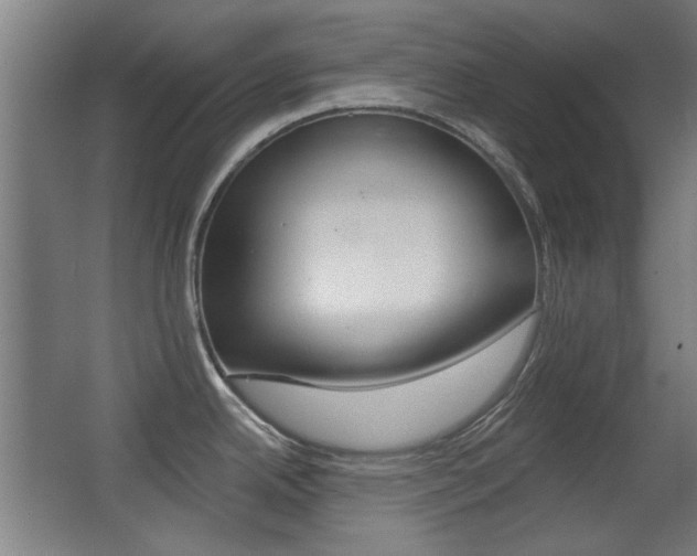 X0000062891342200601131007