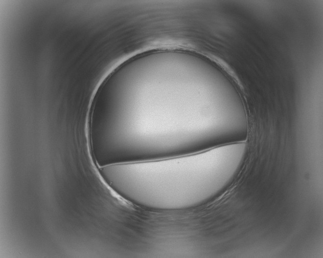 X0000062891343200601131007