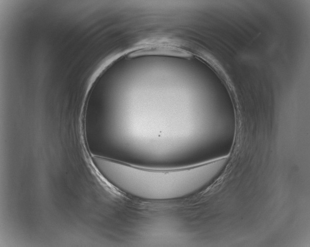 X0000062891344200601131007