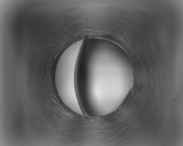 X0000062891345200601131006