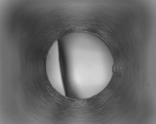 X0000062891346200601131006