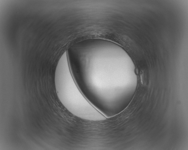 X0000062891347200601131006