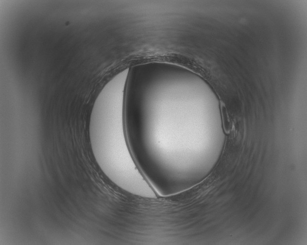 X0000062891348200601131006