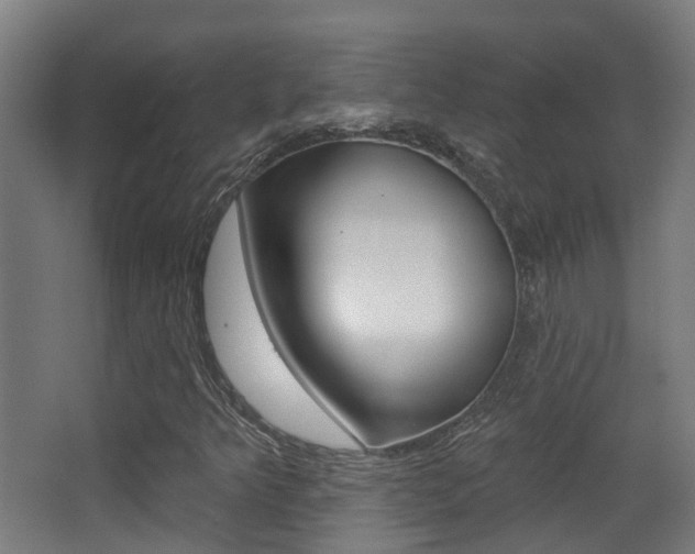 X0000062891349200601131006