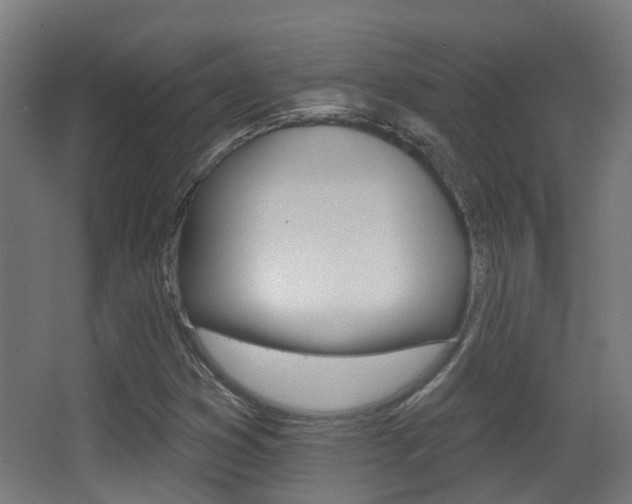 X0000062891353200601131006