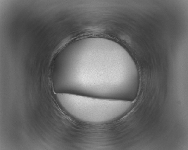 X0000062891354200601131006