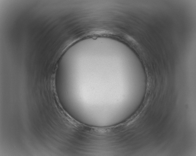 X0000062891361200601131006