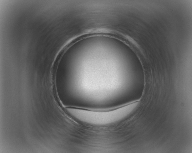 X0000062891364200601131005