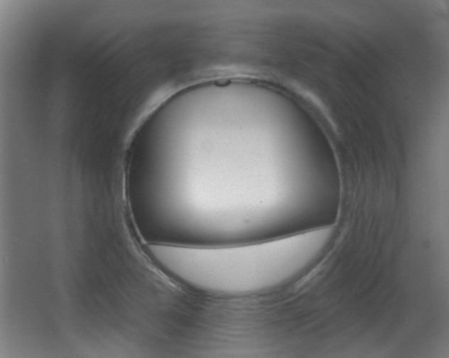 X0000062891365200601131005