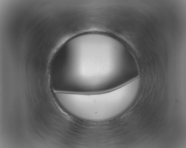 X0000062891367200601131005
